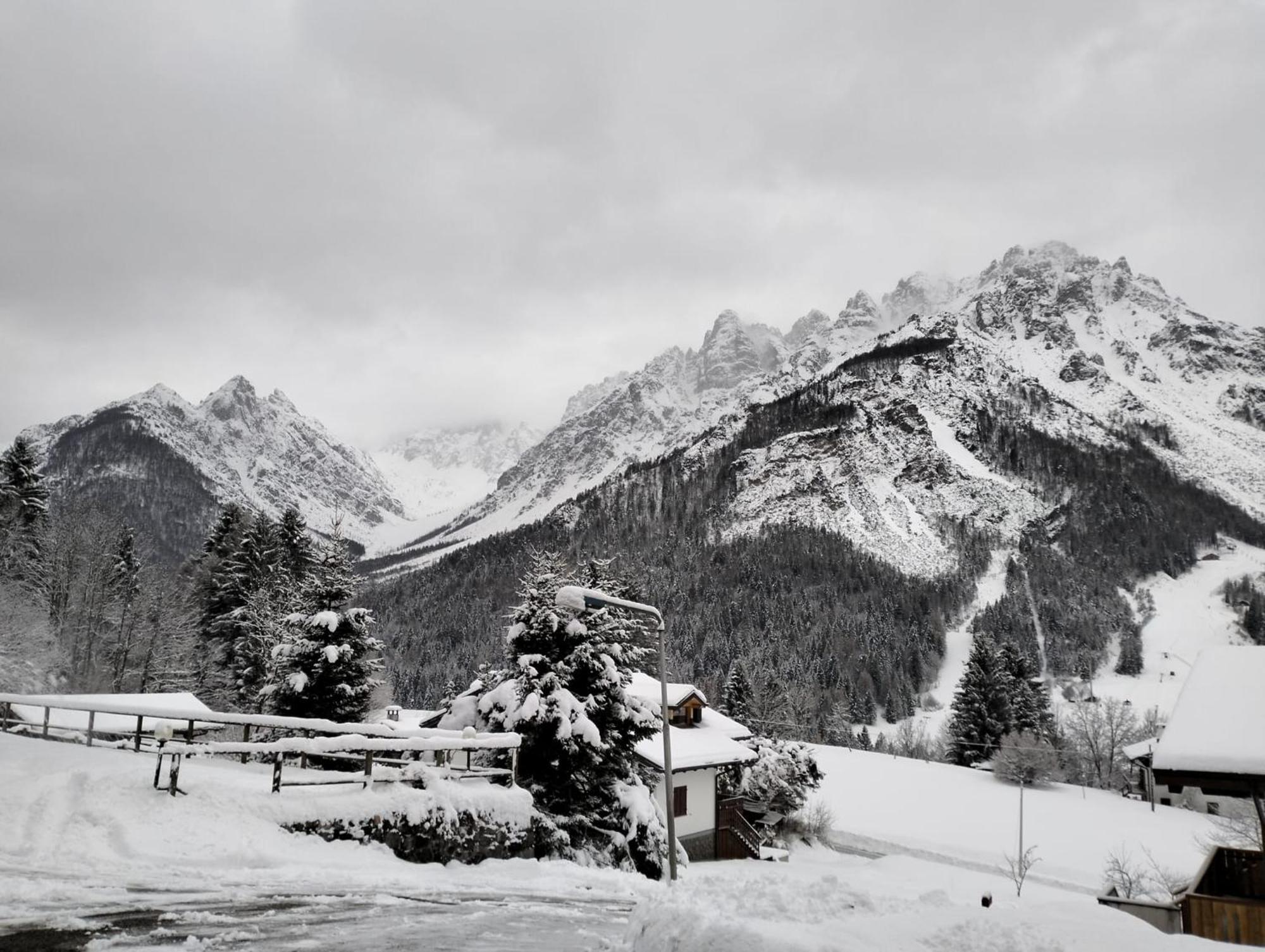 Vista Mozzafiato Sulle Dolomiti Friulane Apartment Форни ди Сопра Екстериор снимка